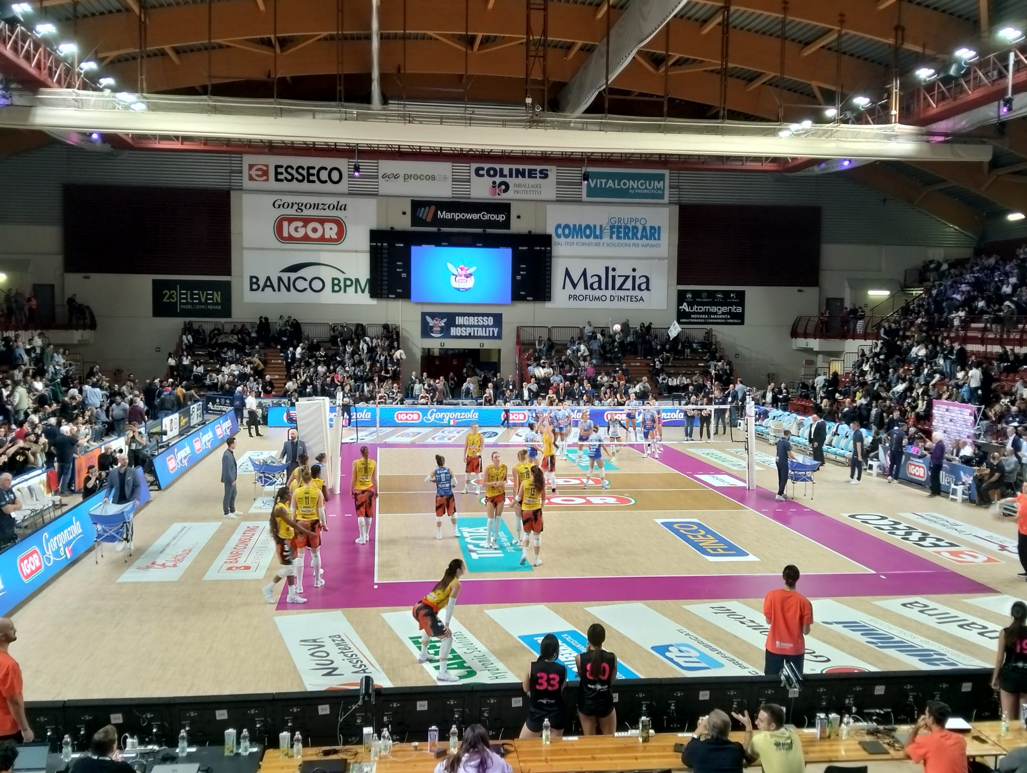 VolleyPoint: bene Conegliano, Chieri e Busto, flop Novara e Bergamo