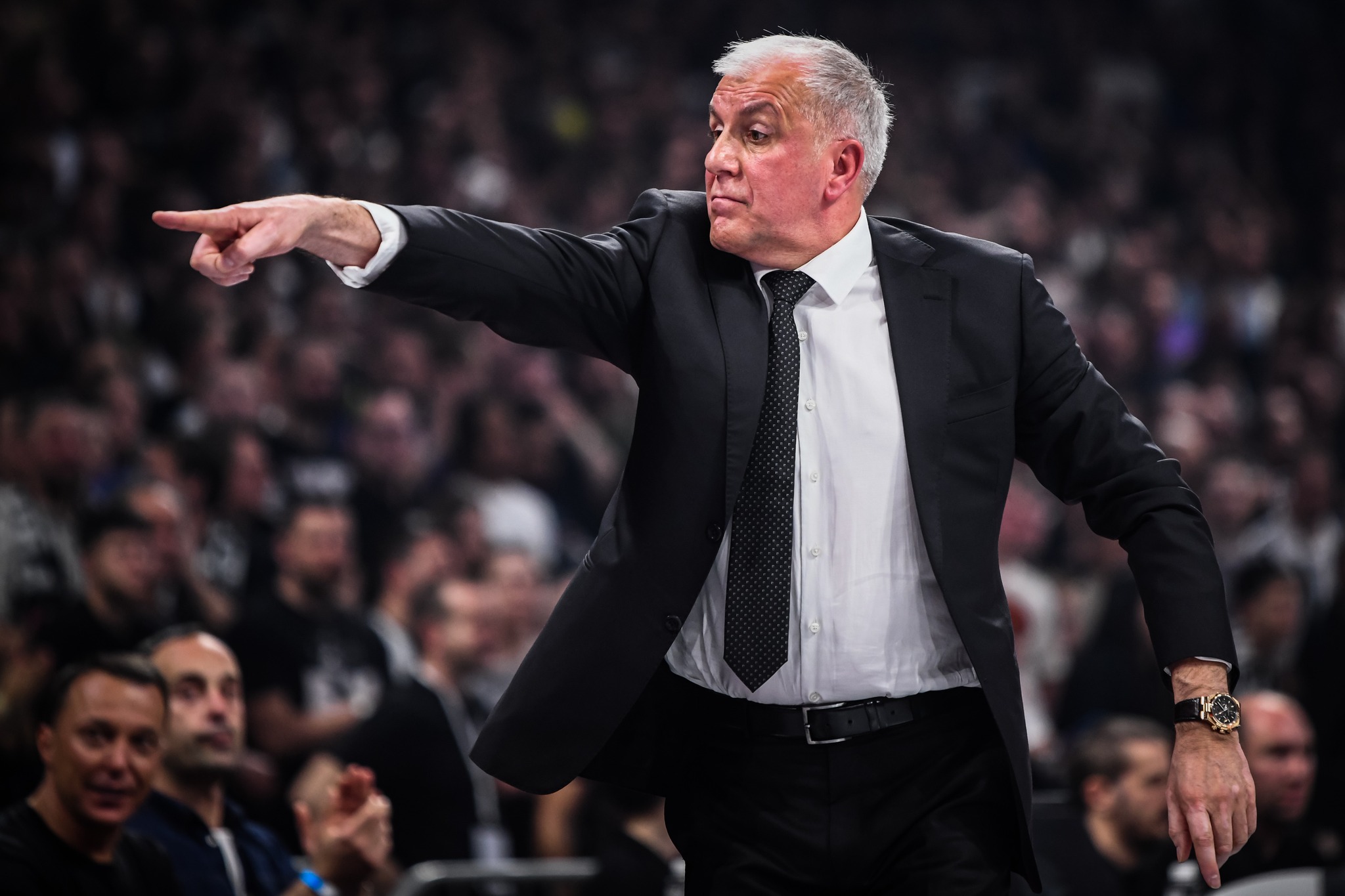 Eurolega, la nota ufficiale: Obradovic non è più l’allenatore del Partizan